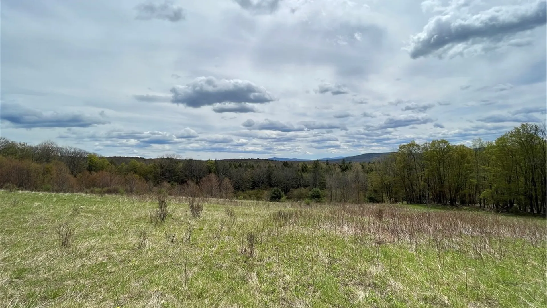 Property at State Route 10, Jefferson, NY 12093 11