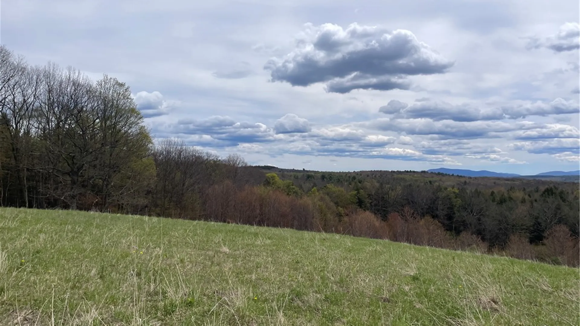 Property at State Route 10, Jefferson, NY 12093 14