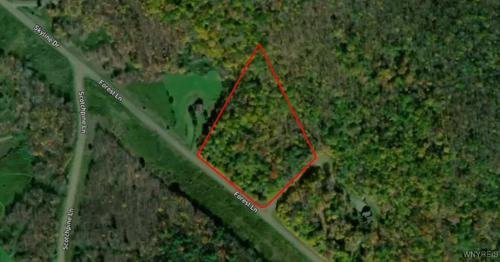 Property at Lot 20 Forest Lane, Andes, NY 13731