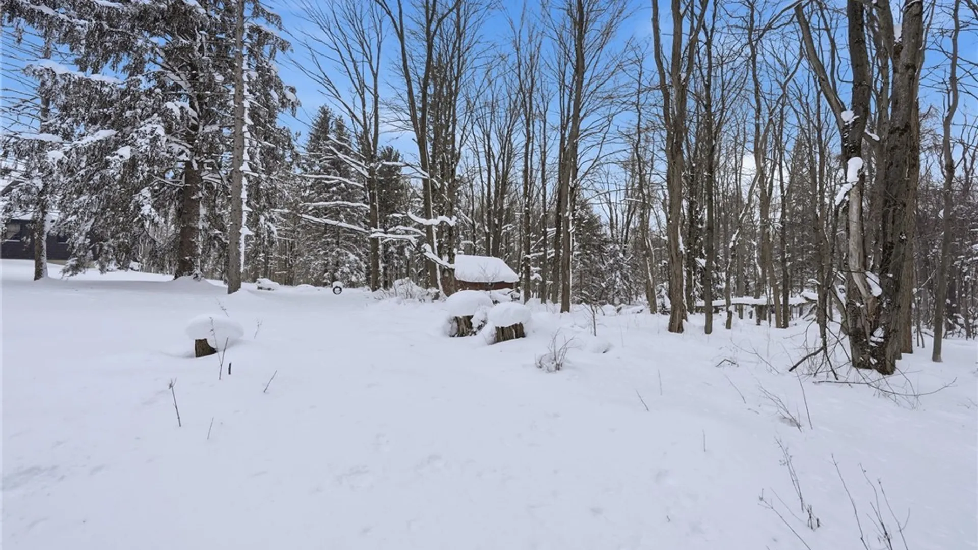 Property at 11075 Carpenter Road, Wales, NY 14139 49