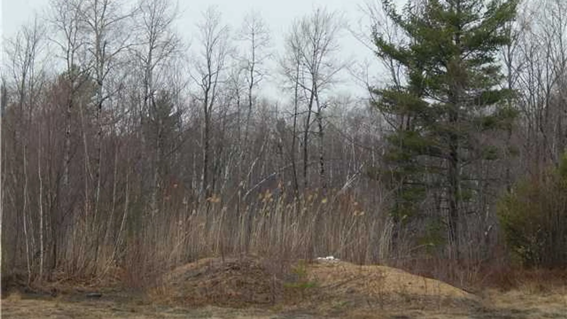 Property at 24365 Hickey Road, Wilna, NY 13619 7