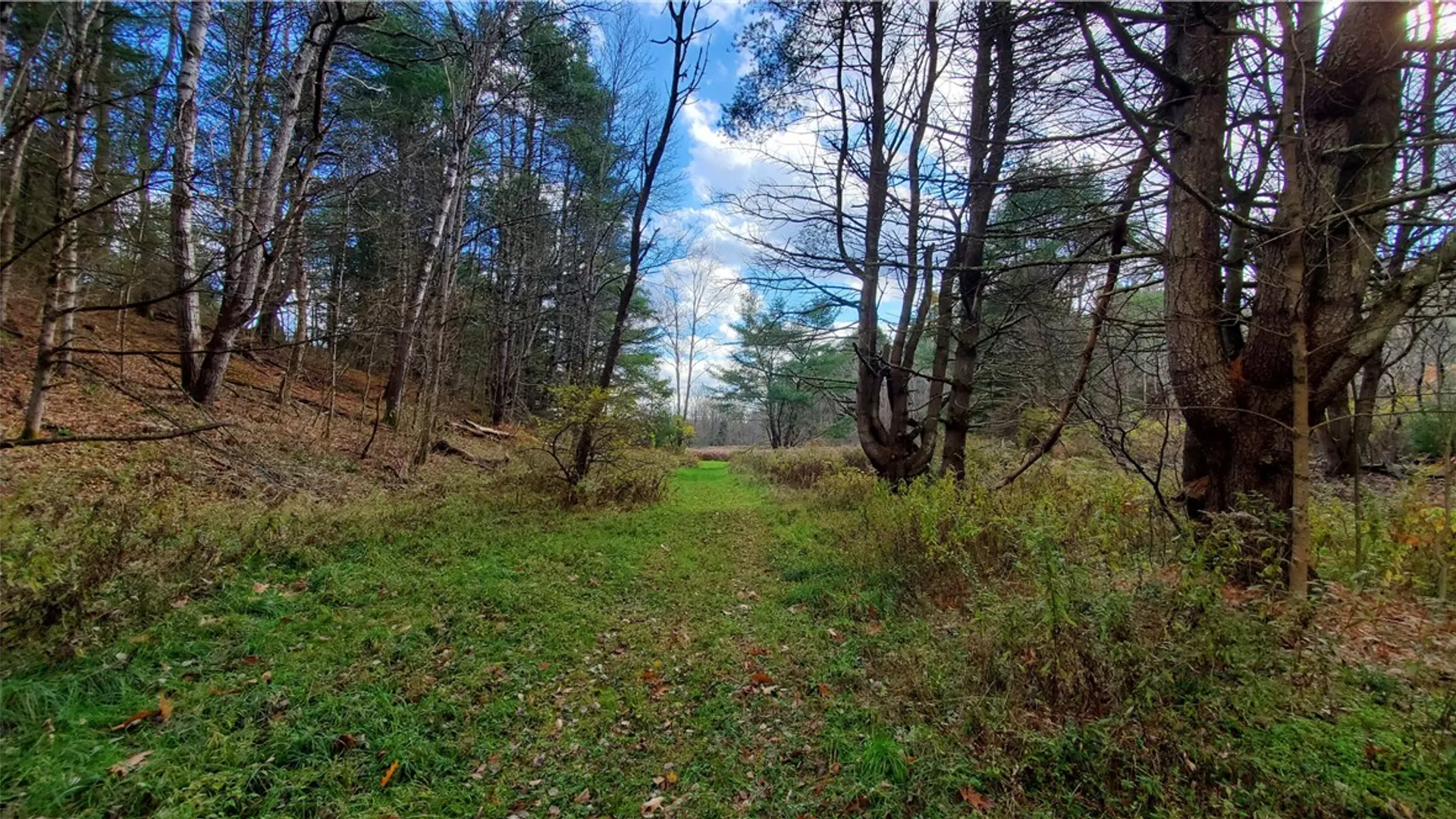 Property at 3603 State Highway 23, Laurens, NY 13861 37