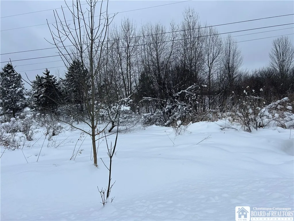 Property at Pekin Road, French Creek, NY 14736