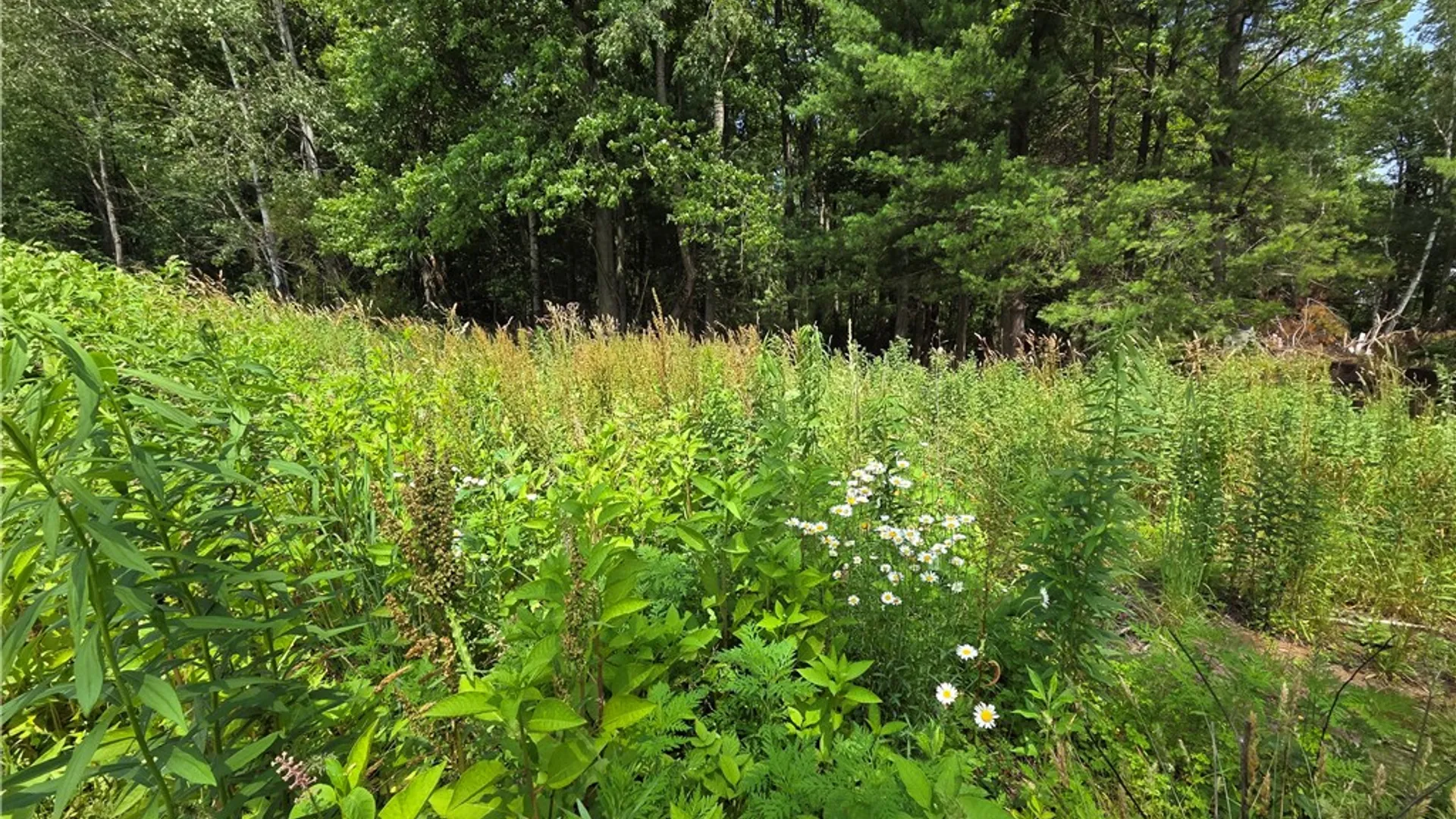 Property at 10720 Duck Lake Road, Conquest, NY 13143 4