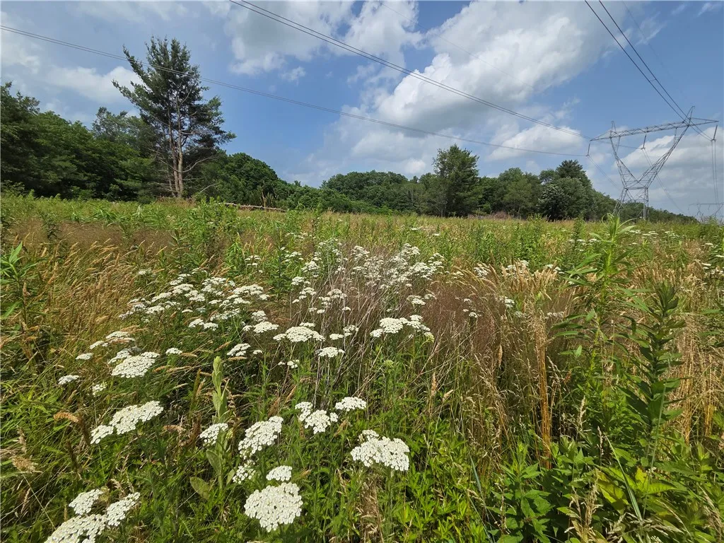 Property at 10720 Duck Lake Road, Conquest, NY 13143