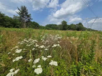 Property at 10720 Duck Lake Road, Conquest, NY 13143