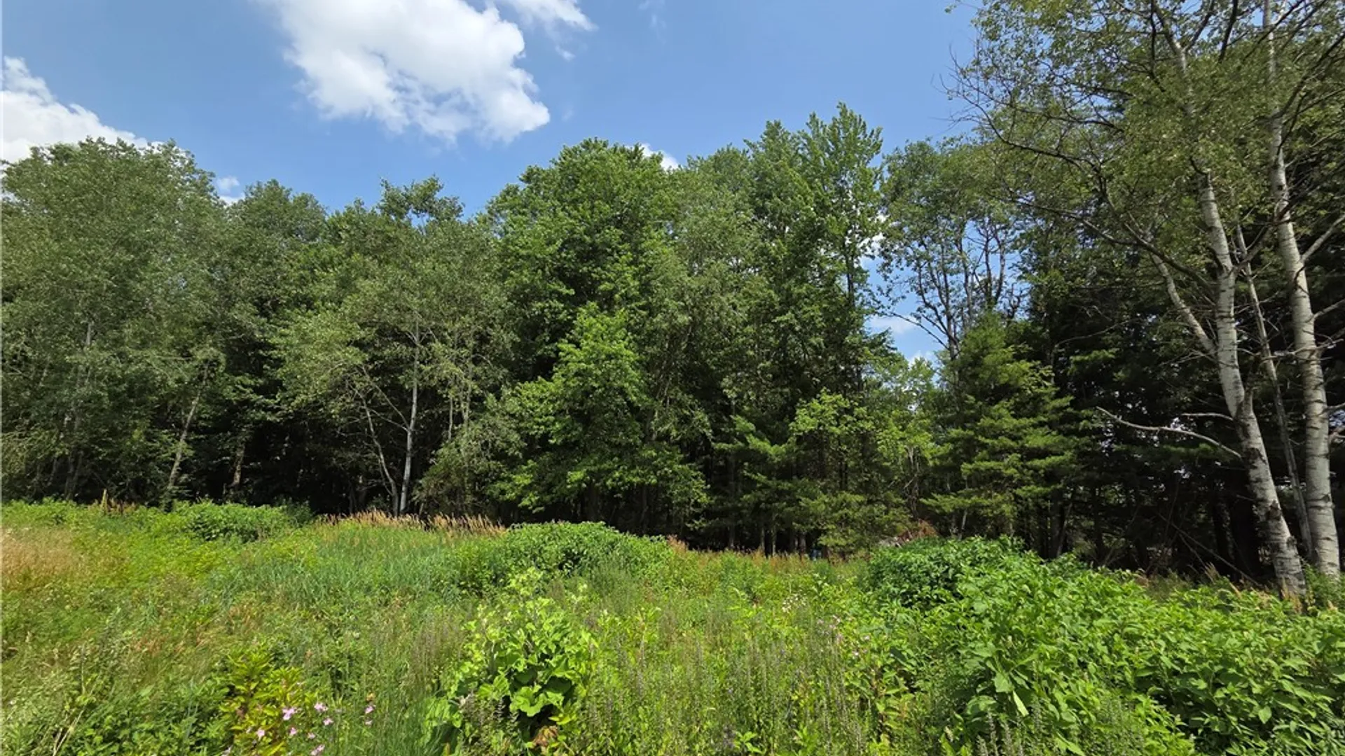 Property at 10720 Duck Lake Road, Conquest, NY 13143 6