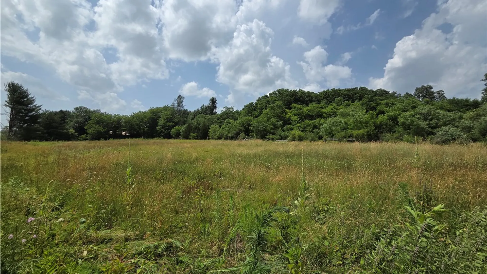 Property at 10720 Duck Lake Road, Conquest, NY 13143 10