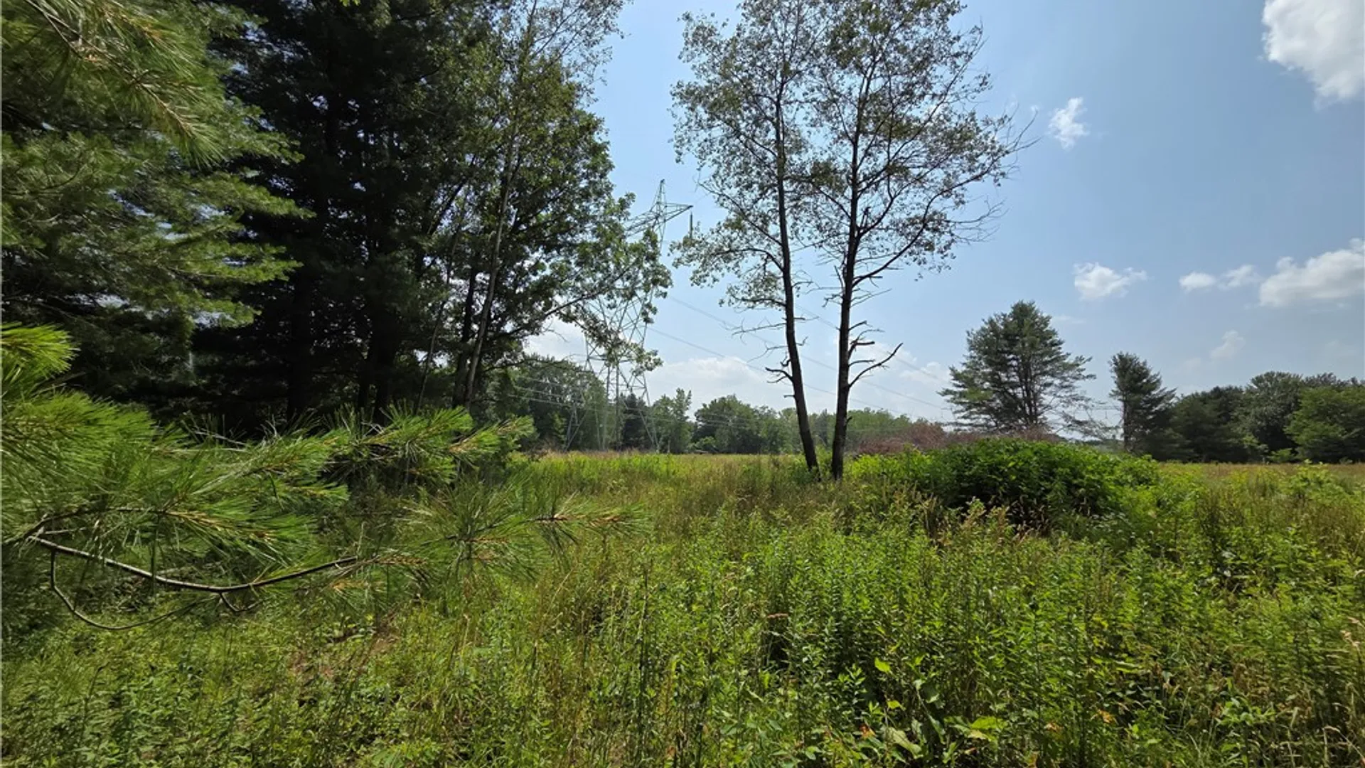Property at 10720 Duck Lake Road, Conquest, NY 13143 12