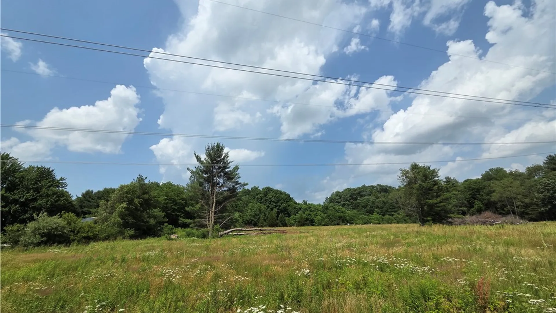 Property at 10720 Duck Lake Road, Conquest, NY 13143 16