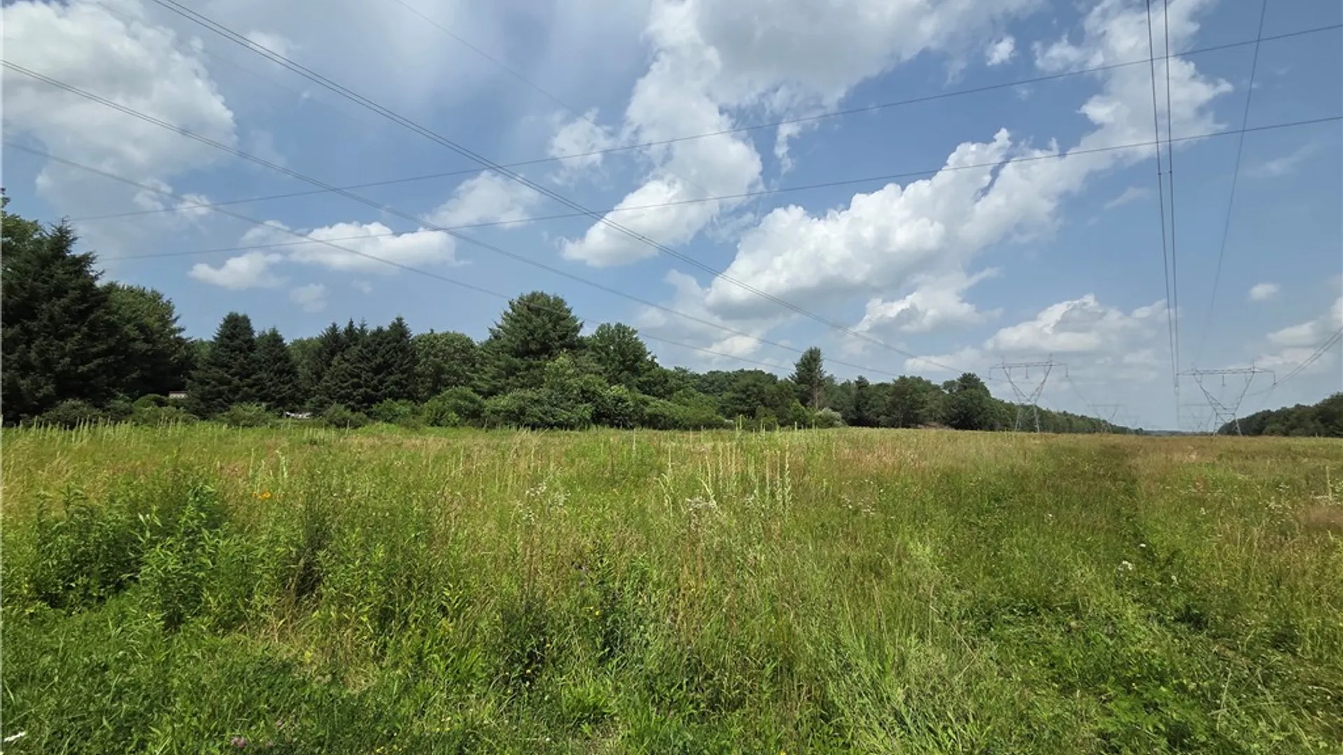 Property at 10720 Duck Lake Road, Conquest, NY 13143 18