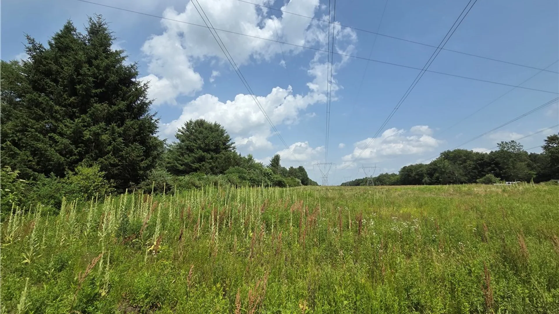 Property at 10720 Duck Lake Road, Conquest, NY 13143 19