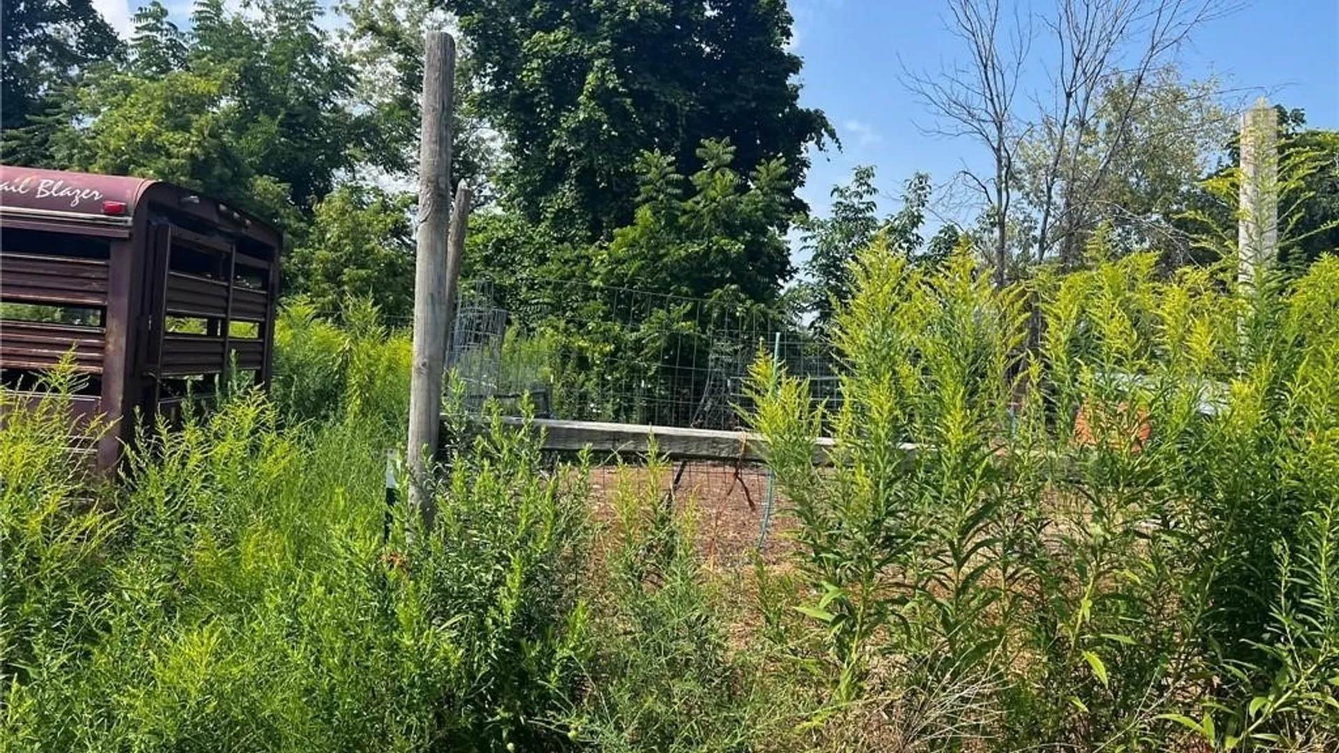 Property at 3756 N Main Street Road, Murray, NY 14470 8