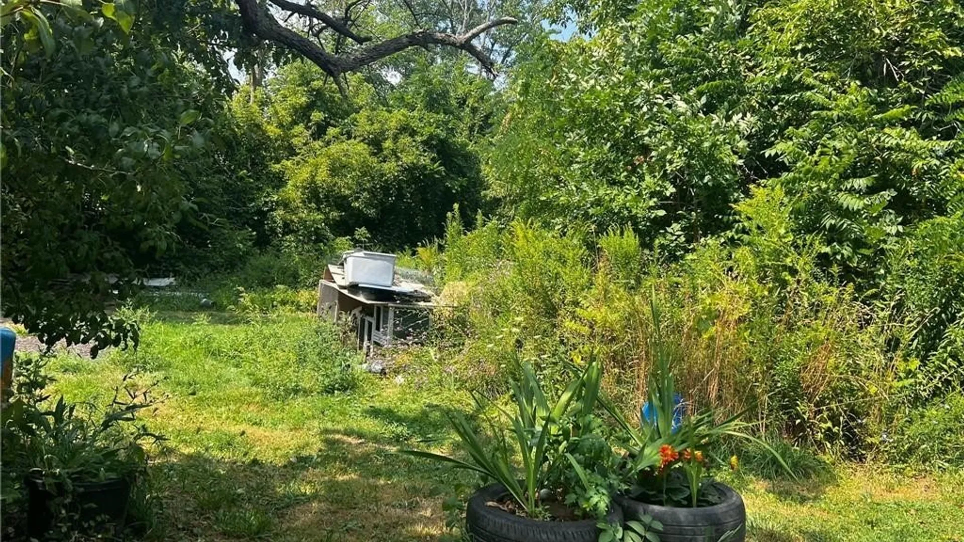 Property at 3756 N Main Street Road, Murray, NY 14470 37