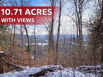 Property at 15 Silver Mine Road, Blenheim, NY 12131