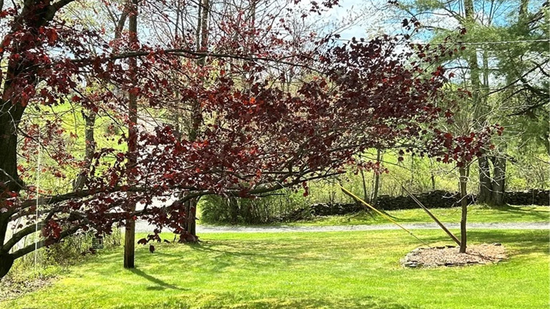 Property at 683 Sawdey Road, Catlin, NY 14812 35