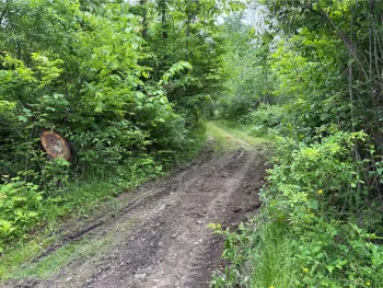 Property at 0 Townsend Road, Dix, NY 14891