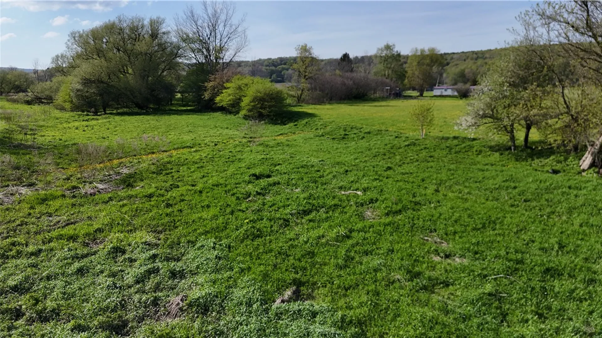 Property at 489 Route 62, Ellington, NY 14726 10