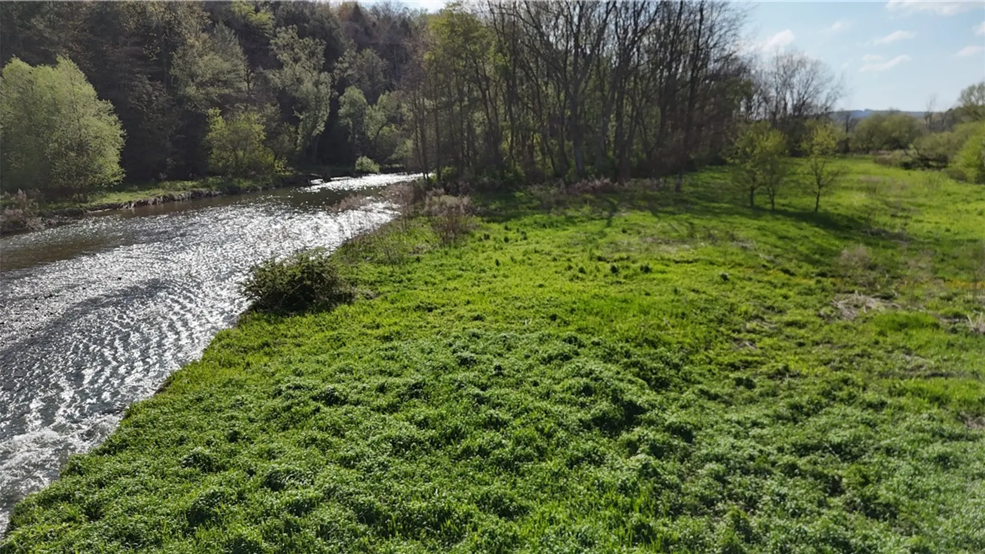 Property at 489 Route 62, Ellington, NY 14726 9