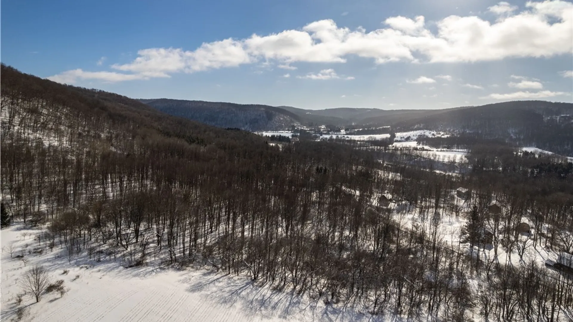 Property at V/L Kent Road, Mansfield, NY 14755 4
