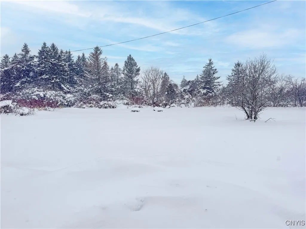Property at 23983 Fire Rd 31, Lyme, NY 13693