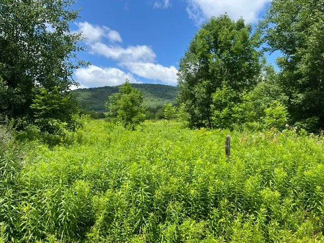 Property at Narrow Notch Road, Stamford, NY 12167
