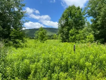 Property at Narrow Notch Road, Stamford, NY 12167