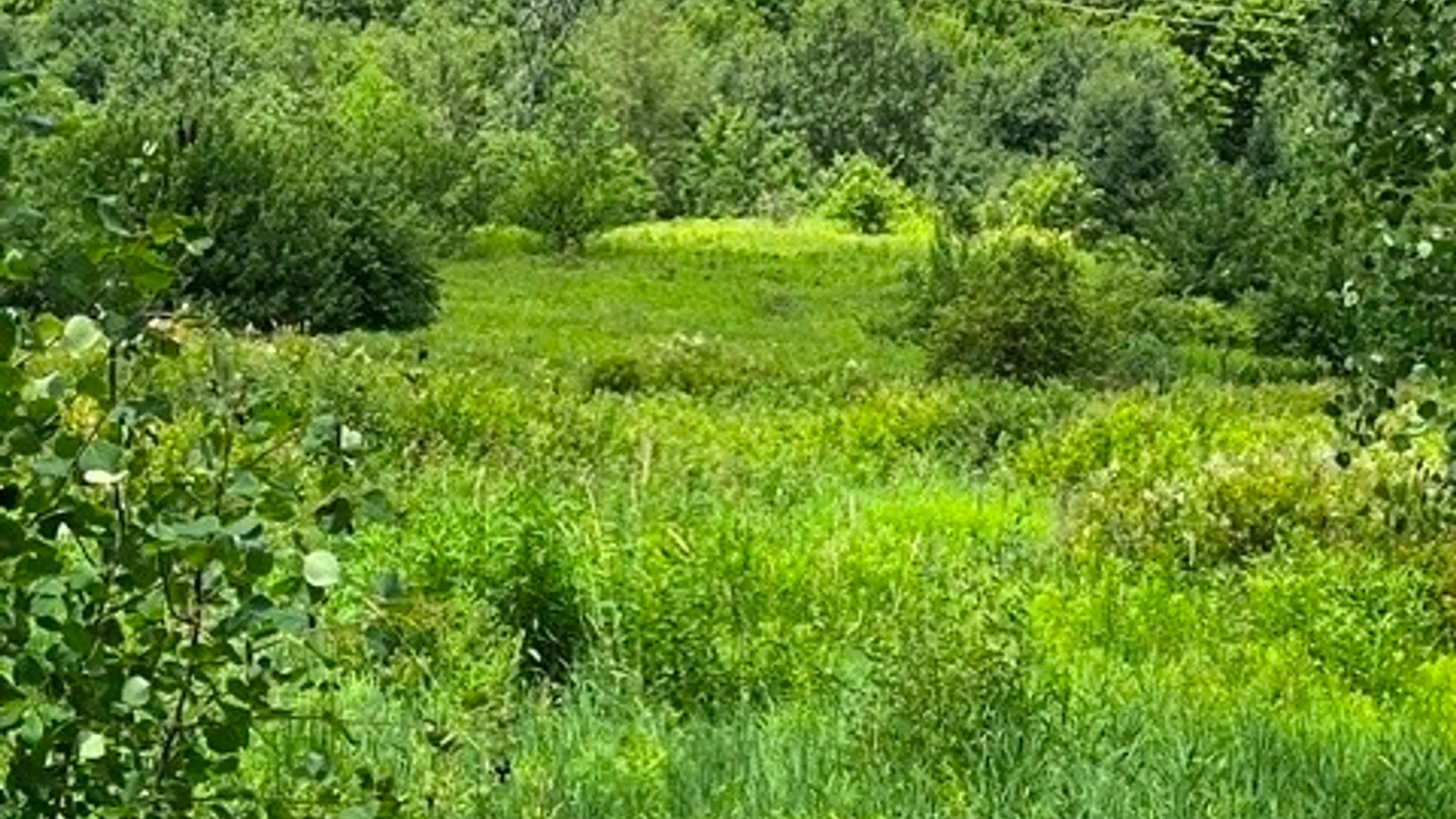 Property at Narrow Notch Road, Stamford, NY 12167 4