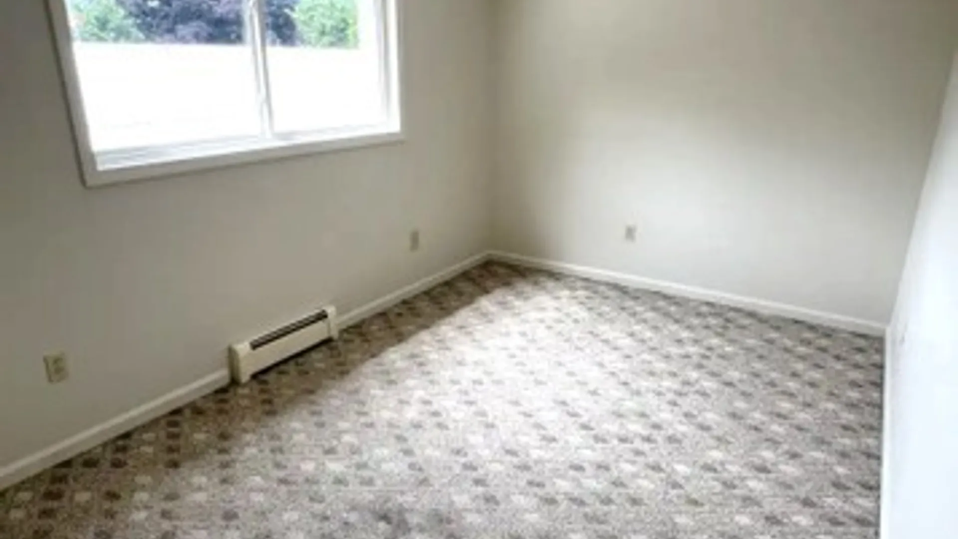 Property at 115 Main, Moravia, NY 13318 7