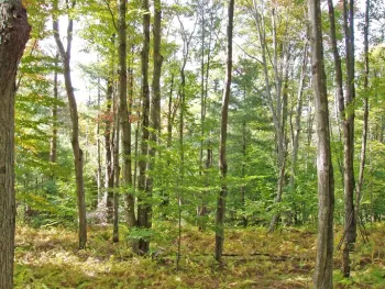 Property at Lot #28 Timberland Drive, Andes, NY 13731