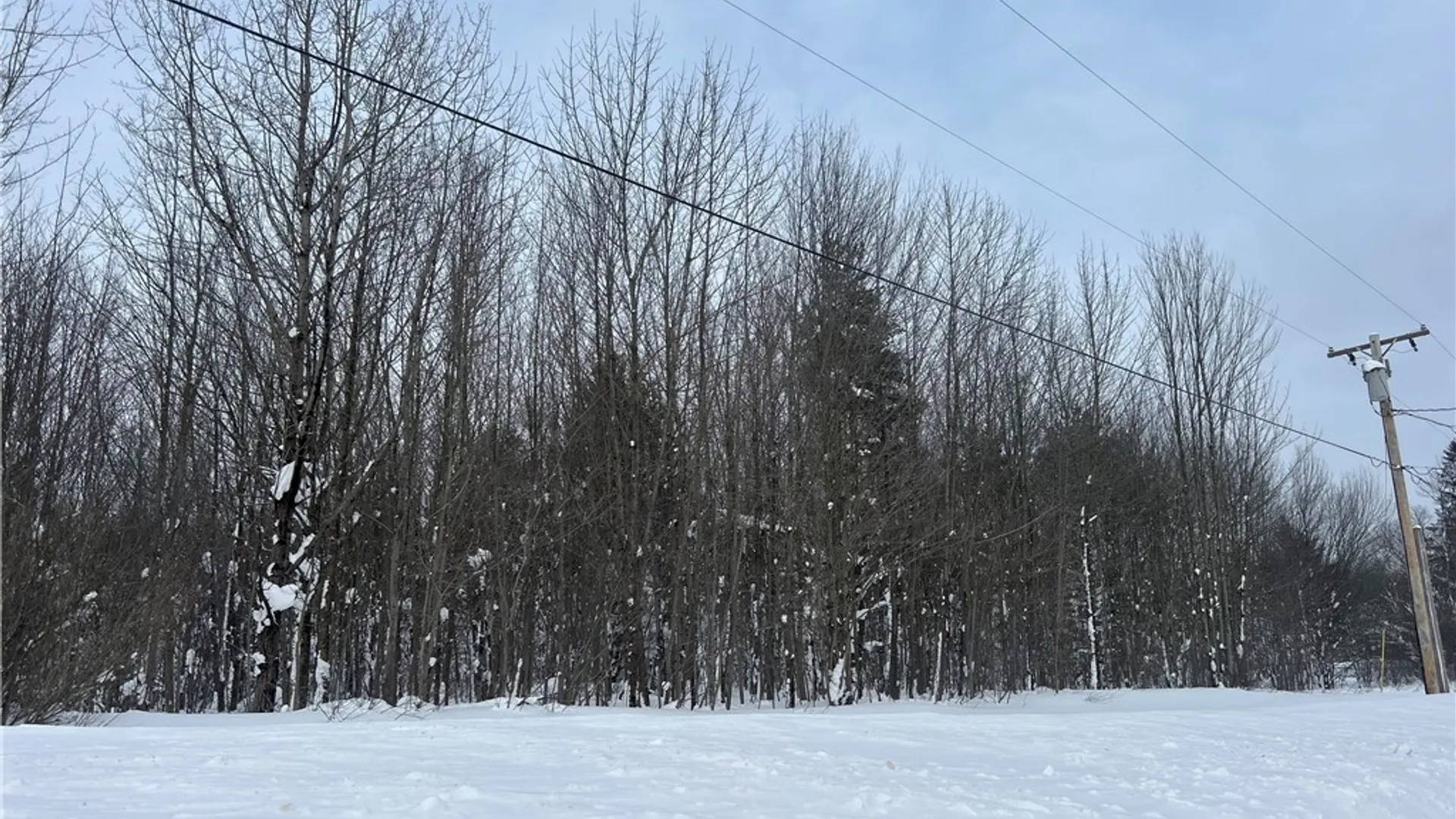 Property at 0 Co Rt 15, Boylston, NY 13083 3