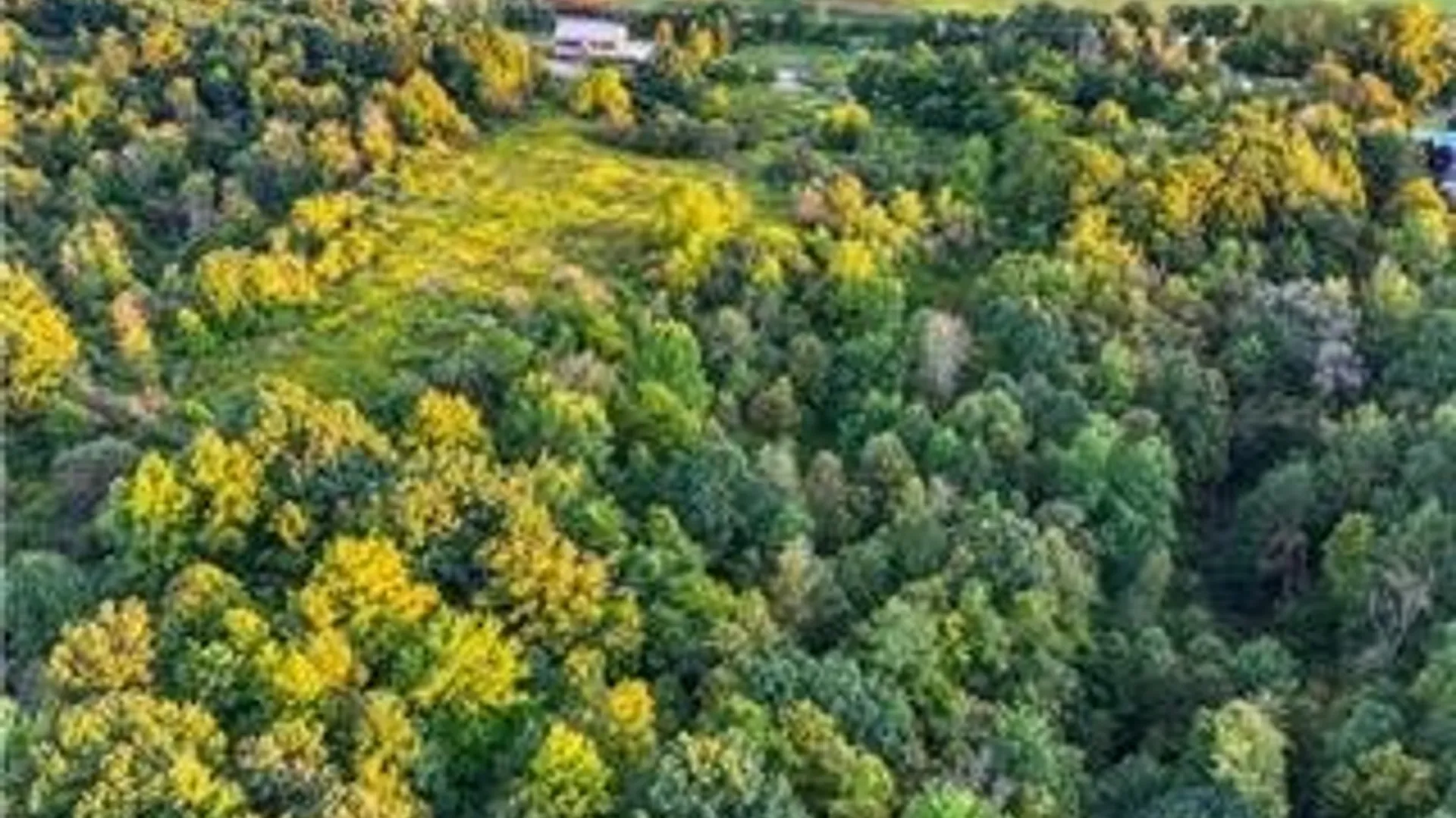 Property at Lot 57 State Route 5, Little Falls Town, NY 13365 10