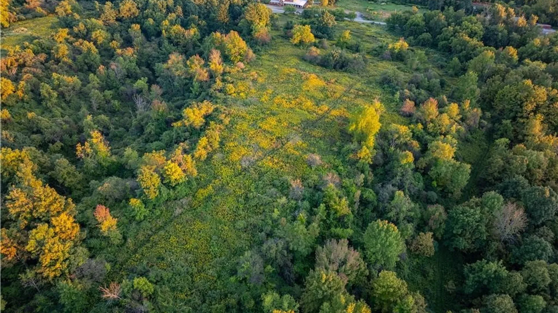 Property at Lot 57 State Route 5, Little Falls Town, NY 13365 12