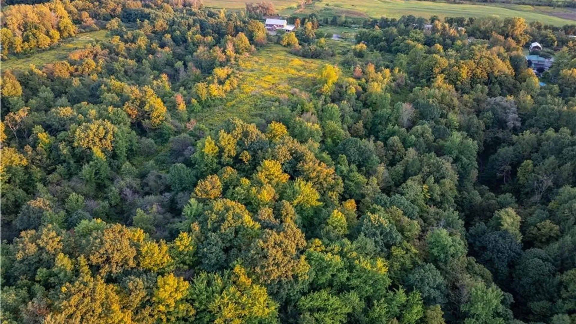 Property at Lot 57 State Route 5, Little Falls Town, NY 13365 13