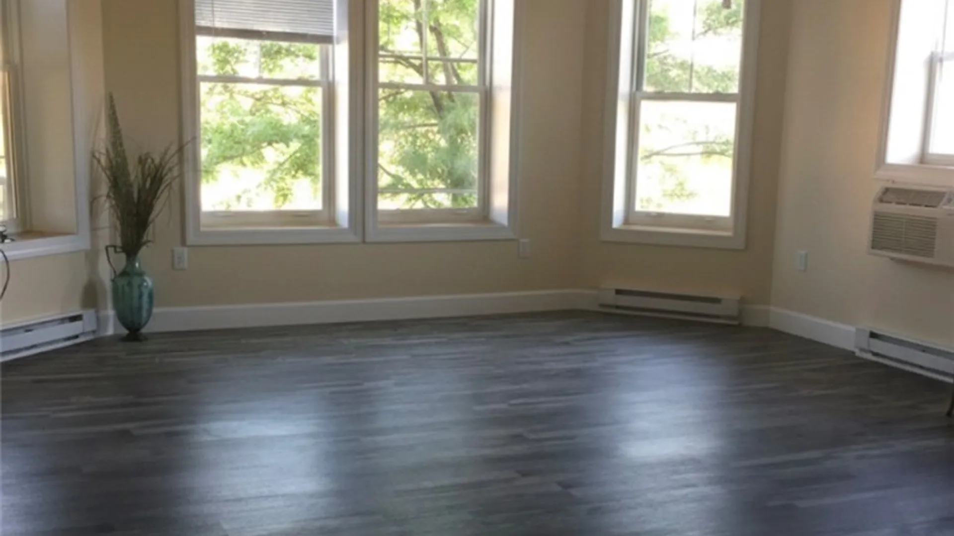 Property at 108 N Franklin Street, Dix, NY 14891 9