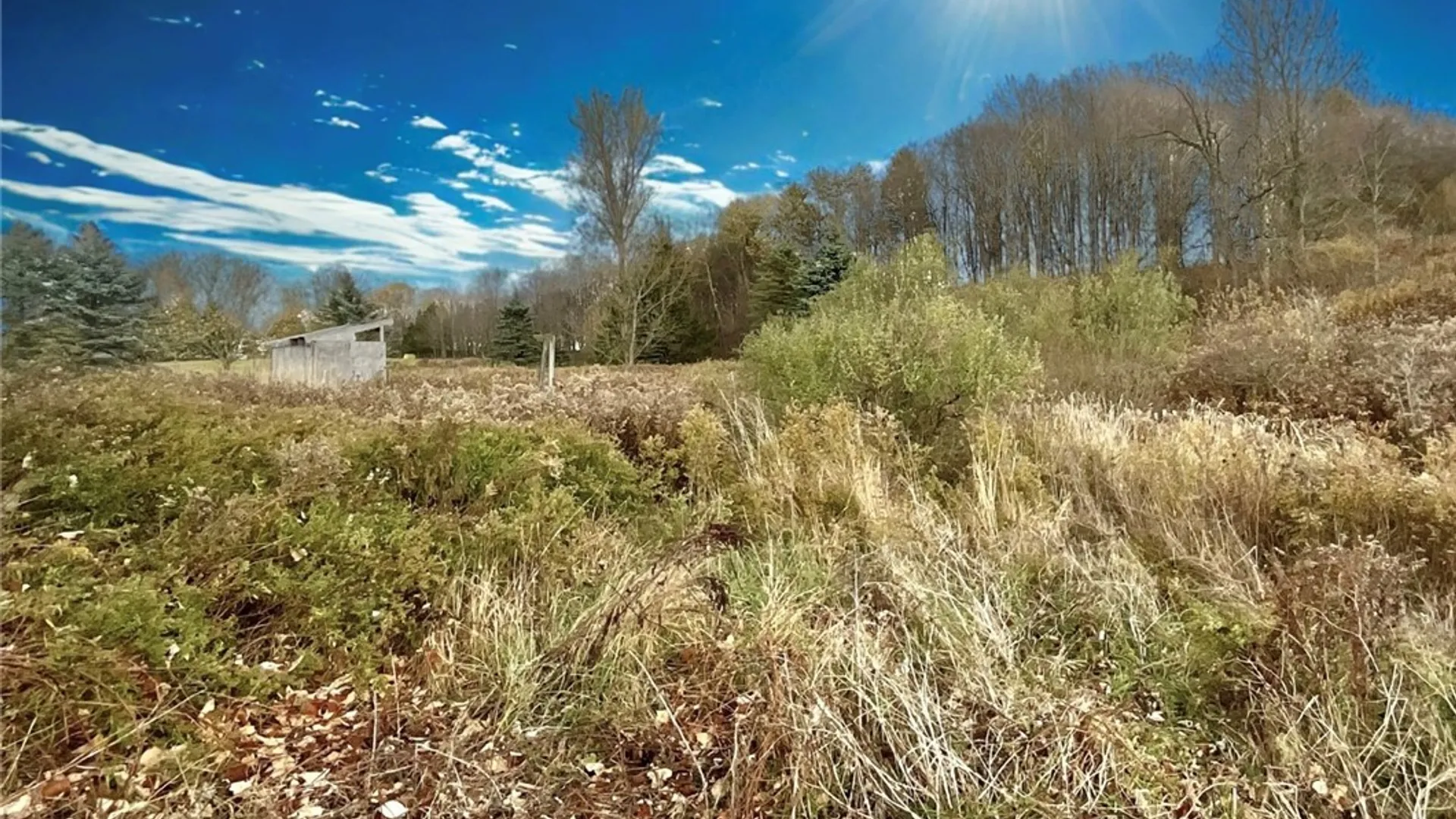 Property at 11046 Sandbank Road, Freedom, NY 14065 13