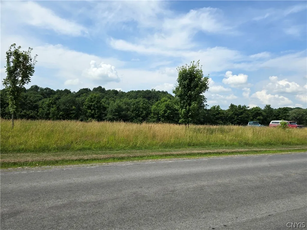 Property at Lowville Road, Rodman, NY 13682