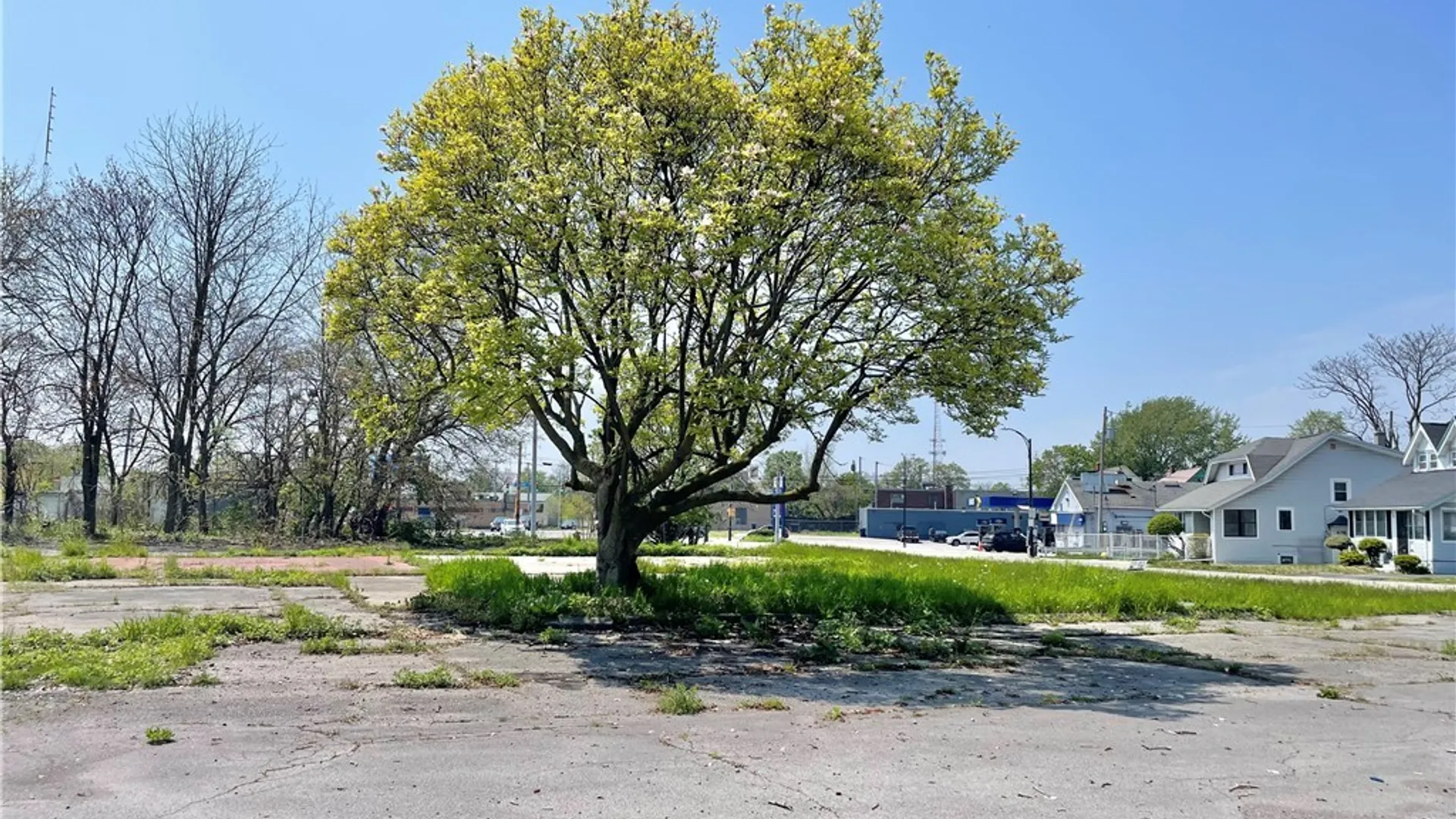 Property at 355 Kensington Avenue, Buffalo, NY 14214 9