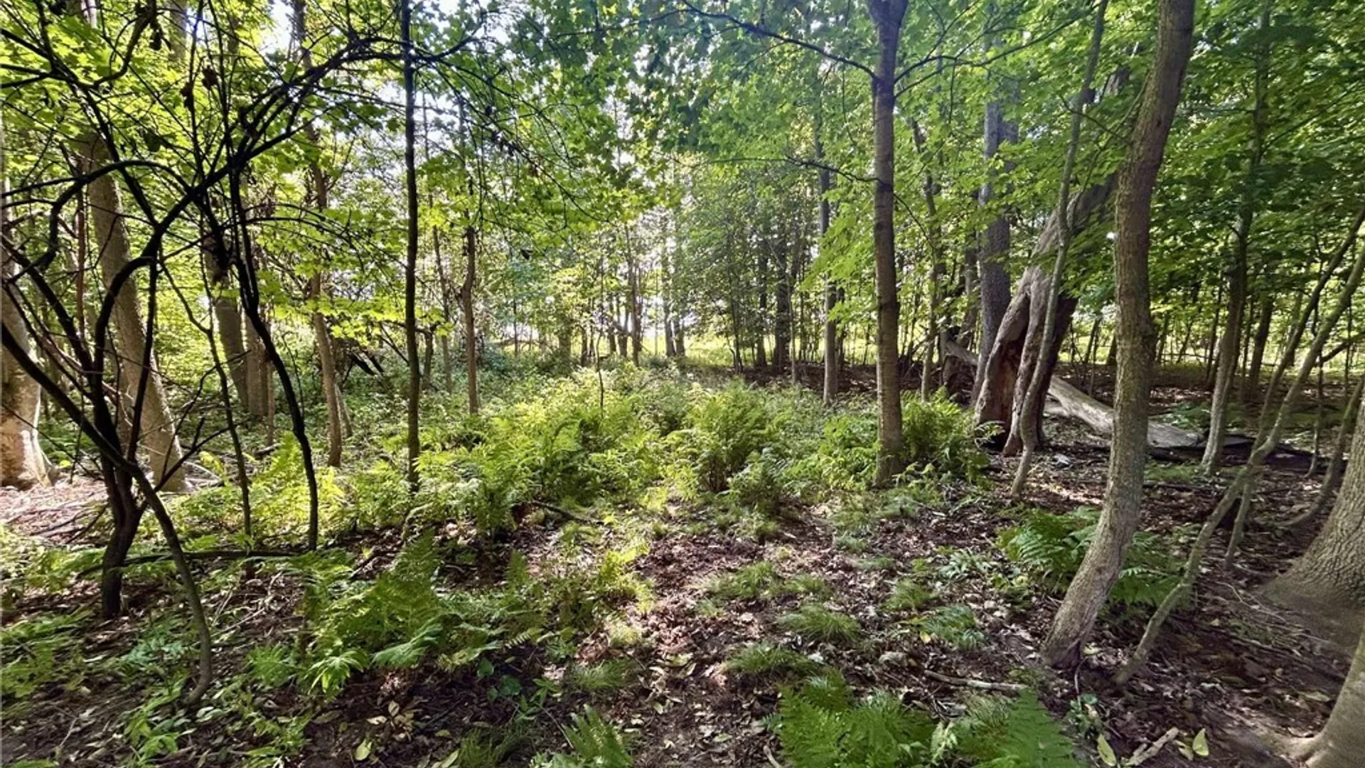 Property at 22 Lost Village Road, Oswegatchie, NY 13669 14