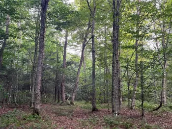 Property at Creek Road, Annsville, NY 13471
