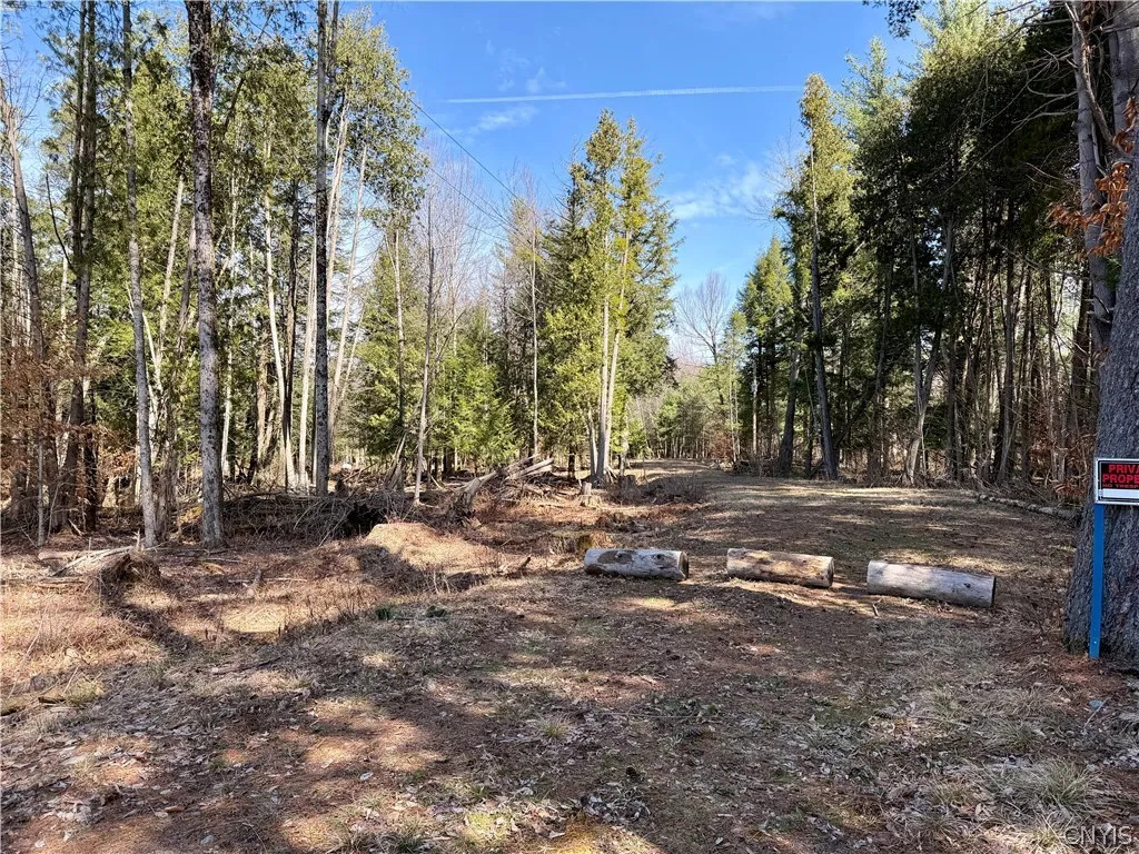 Property at 6919 Austin Road, Watson, NY 13343