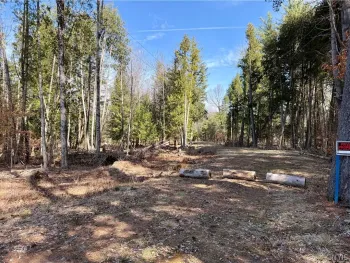 Property at 6919 Austin Road, Watson, NY 13343