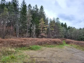Property at US ROUTE 219, Ellicottville, NY 14731