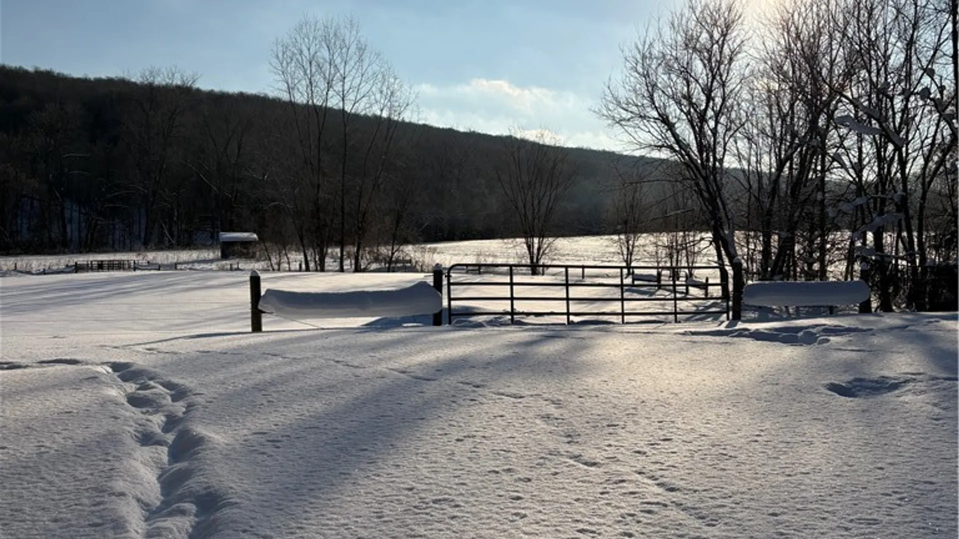 Property at 5445 E Creek Road, Wales, NY 14139 19