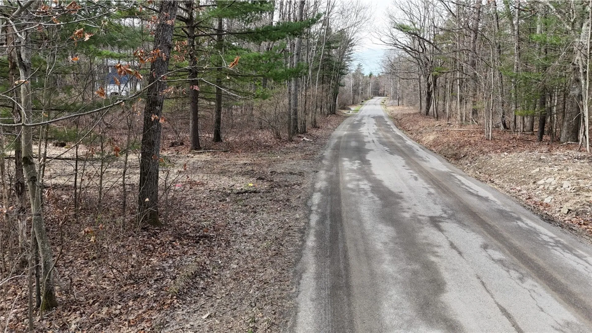 Property at 0 Welch Road, Erwin, NY 14830 4