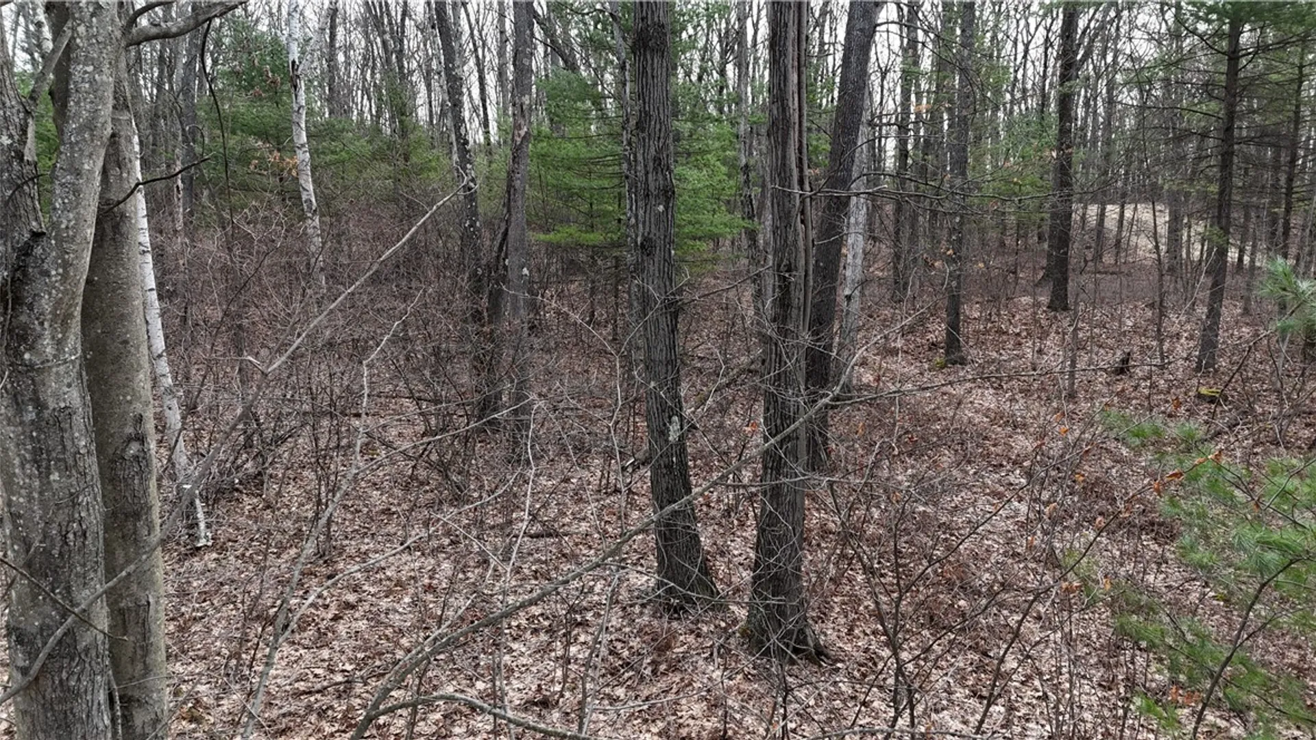 Property at 0 Welch Road, Erwin, NY 14830 4