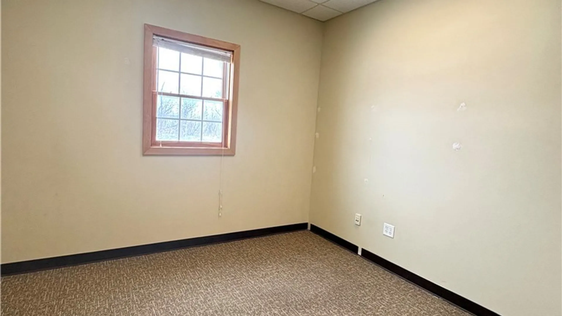 Property at 425 Grant Avenue Road, Sennett, NY 13021 35
