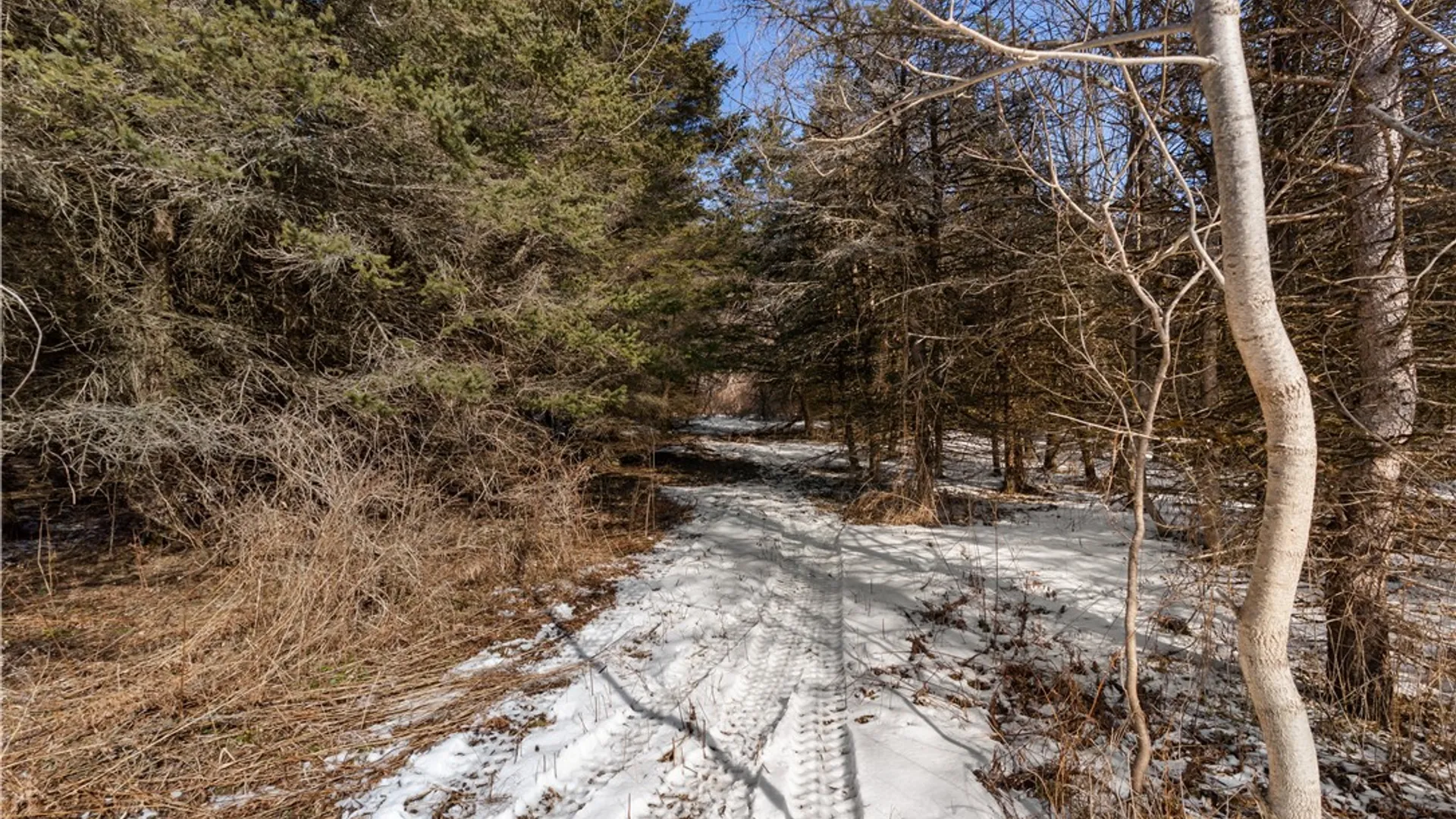 Property at 9080 75a, Avoca, NY 14809 16