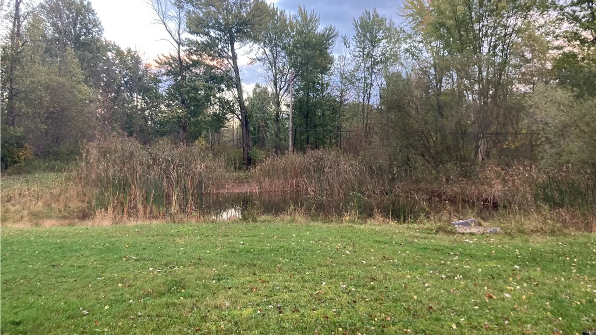 Property at 8751 w canal rd, Sweden, NY 14420 34