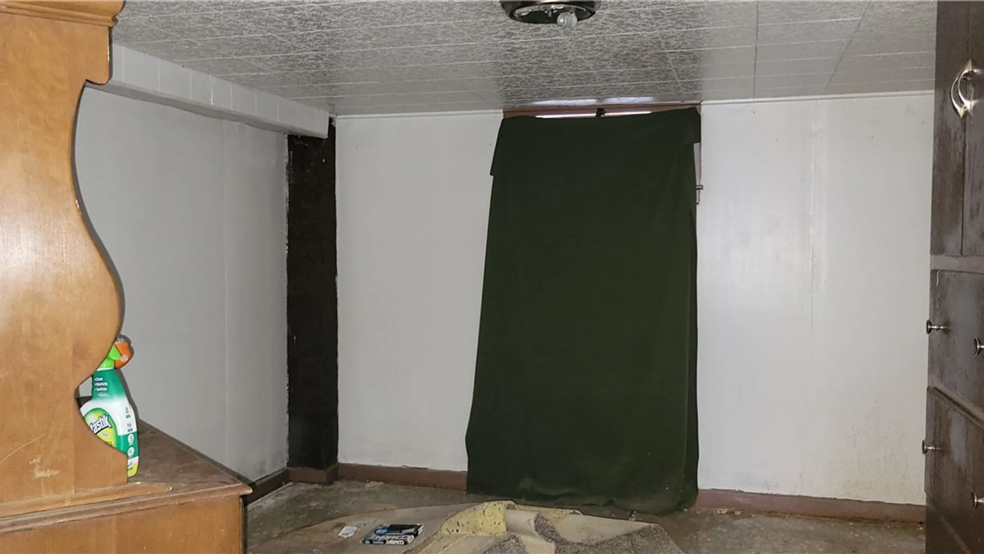 Property at 133 Wright Avenue, Buffalo, NY 14215 17